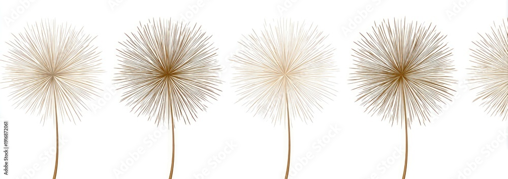 Obraz premium Soft dandelion seeds drift across a clean white background