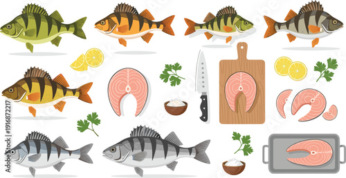 Perch Fish Vector Set with Whole Fresh Fillet Steak Knife Cutting Board and Seafood Cooking Elements for Menu Design