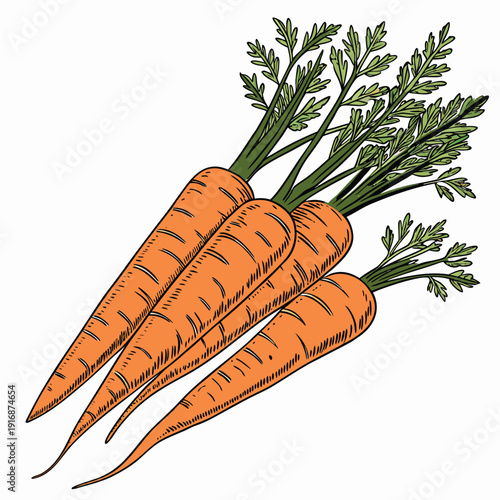 carrots and carrot