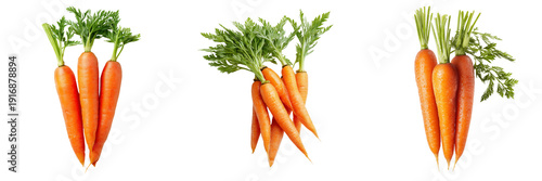 Set of Crisp orange carrots with lush green tops standing upright transparent png background. Ai generated