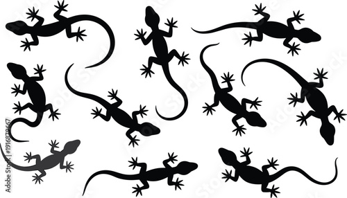 Gecko silhouette icons with diverse reptile poses and orientations for wildlife and nature theme - black vector illustration set