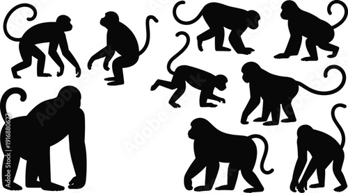 Monkey silhouette icons in various poses for wildlife and animal behavior theme - black vector illustration set
