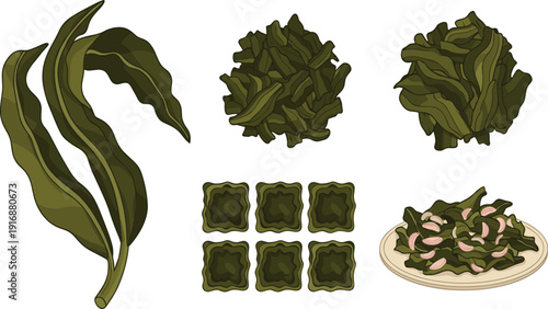 Seaweed Wakame Vector Set with Dried Squares Fresh Algae and Salad Plate for Asian Cuisine Healthy Food Design
