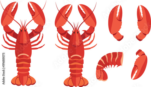 Lobster Vector Set with Whole Cooked Claws Tail and Seafood Elements for Restaurant Menu Marine Food Design