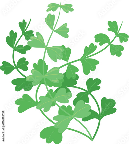 Underwater botany with green leaves. Floral sea plant