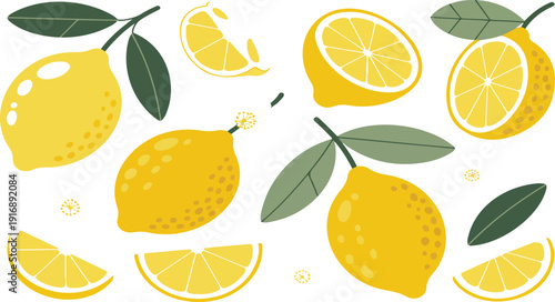 Collection of fresh lemons and lemon slices with green leaves and small white flowers on white background