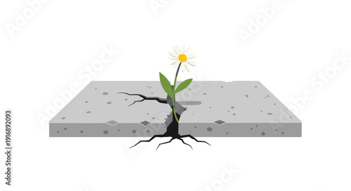 White daisy flower with green leaves and yellow center grows from a crack in a flat gray concrete slab.