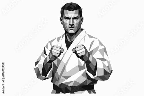 Martial artist in low poly gi standing ready, displaying combat sports determination