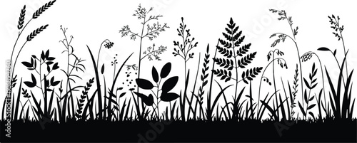 Black silhouette of wild grass plants and flowers against white background natural meadow detail