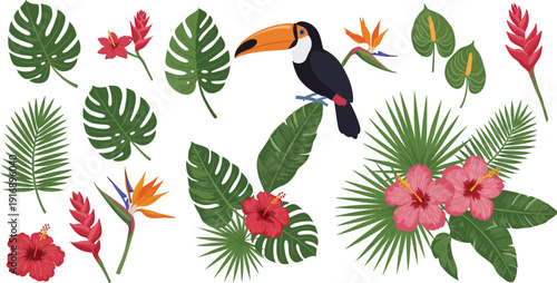 Colorful tropical leaves flowers and a toucan bird on white background illustration collection