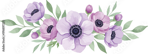 Beautiful watercolor painting of purple anemone flowers with green leaves on white background