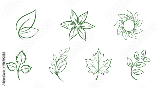 Collection of various green leaf and floral design elements in a hand-drawn style for natural and organic branding concepts.