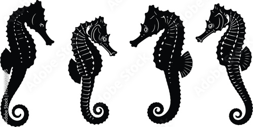 Four black seahorse silhouettes on a white background