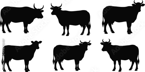 Six black silhouettes of cows in various poses