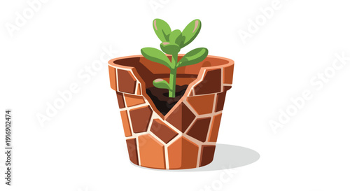 A small green succulent plant grows inside a broken brown terra cotta pot featuring a mosaic-like patched design.
