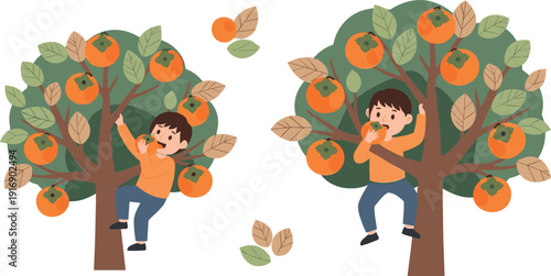 Children picking oranges from fruit trees illustration featuring kids harvesting ripe citrus in orchard garden scene