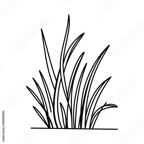 Simple black and white sketch of tall blades of grass growing