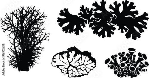Black and white illustrations of various coral reef formations
