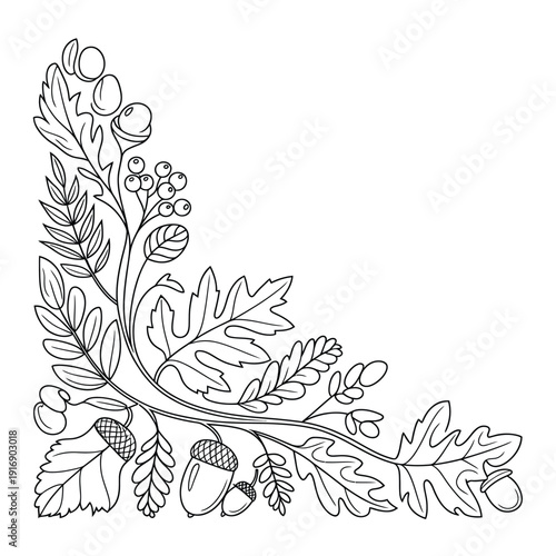 A delicate corner arrangement of leaves acorns and berries in line art