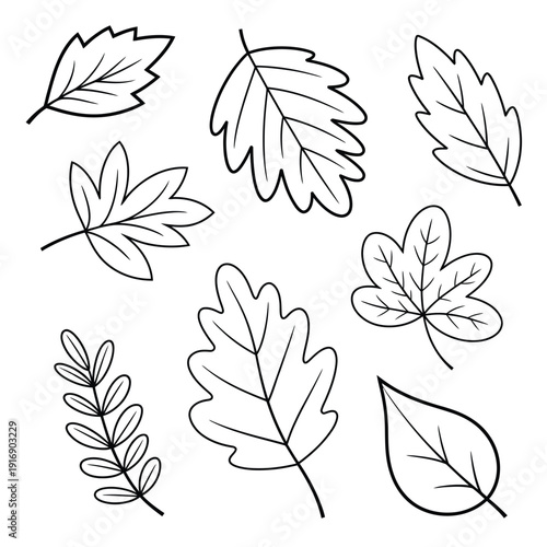 Collection of hand drawn leaves in a simple black and white style