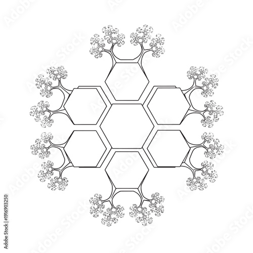 Fractal honeycomb structure growing branching geometric patterns