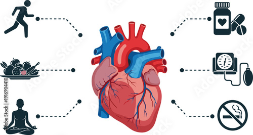 Solid silhouette vector human heart health infographic, medical icons for healthy lifestyle, cardiovascular wellness concept on white background for educational design.