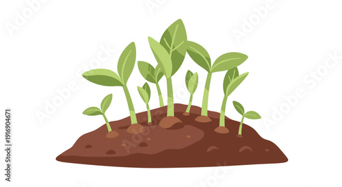 Multiple green plant sprouts emerge and grow from a brown mound of earth on a clean white background.
