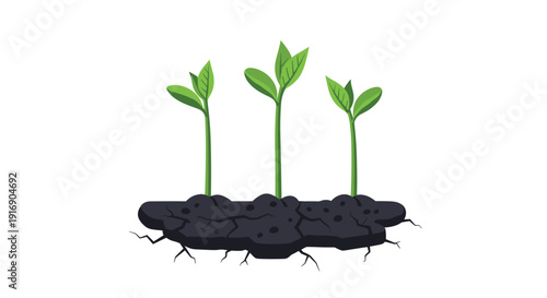 Three green plant sprouts grow upwards from a cracked strip of dark soil with visible roots on a plain white background.