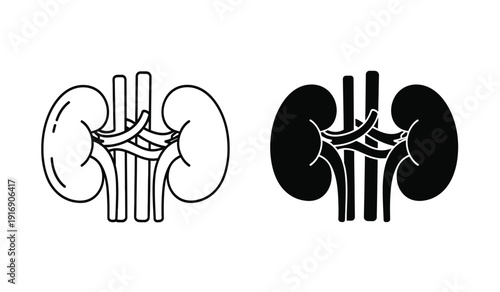 Detailed anatomical illustrations of human kidneys with and without shading