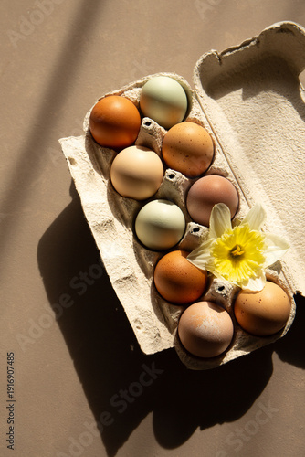 Natural eggs in carton box with daffodil in warm sunlight