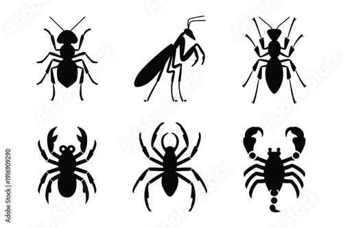 Creepy Crawly Insect Silhouette Icon Set