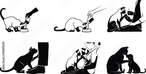 Six cats in various poses including silhouette showcasing agility and playfulness in black and white