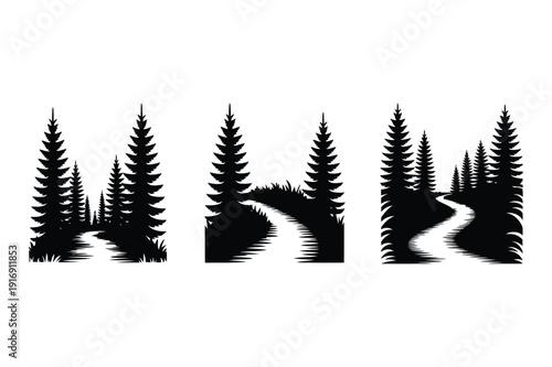 Coniferous Forest Paths Silhouettes: Winding Trails