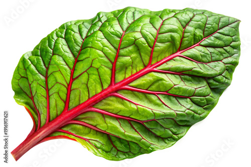 Fresh swiss chard leaf showing vibrant red veins and green wrinkled texture, organic healthy vegetable, and ancient history, Isolated On White Background.png