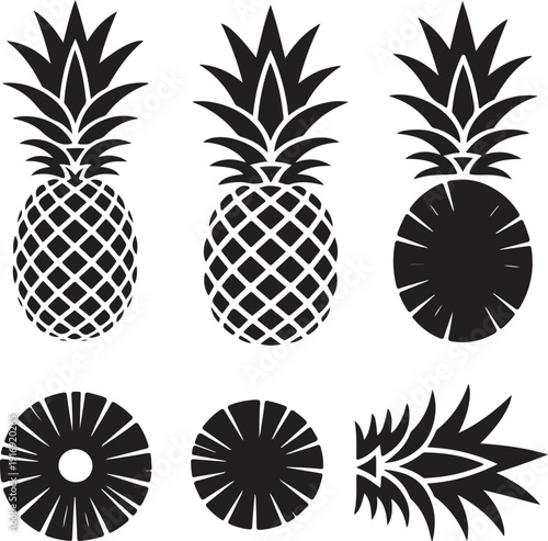 Pineapple fruit vector illustration, whole and sliced