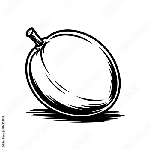 Sapodilla Sketch Illustration of Tropical Sapota Fruit with Smooth Skin Hand Drawn Style