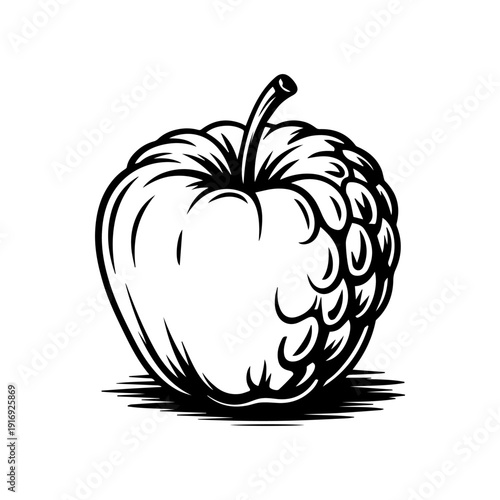 Sugar Apple Sketch Illustration of Tropical Custard Fruit with Scaly Texture Hand Drawn Style