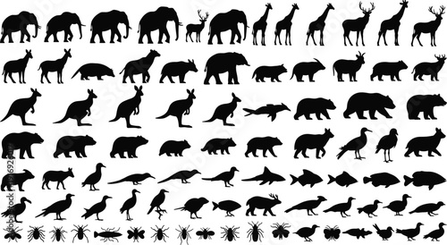 Large collection of wild animal silhouettes, including elephants, giraffes, bears, birds, fish, and insects isolated on white background for nature design. (20 words)
