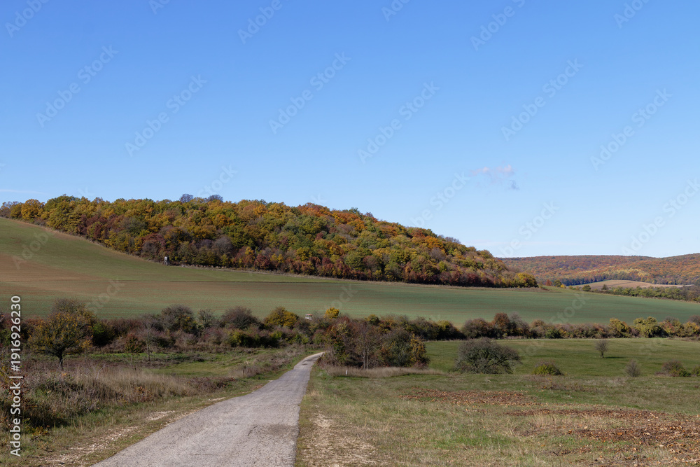 Fototapeta premium Autumn landscape with a winding road through rolling hills and colorful trees