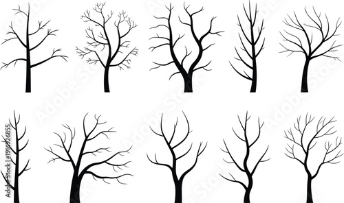 Set of black bare tree silhouettes without leaves, dead forest vector collection for winter nature and spooky Halloween design
