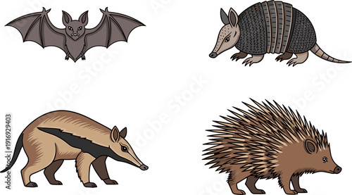 Wild animals vector icons, bat, armadillo, anteater, porcupine, cartoon illustration, unique mammals, wildlife, zoology, educational design, nature creatures