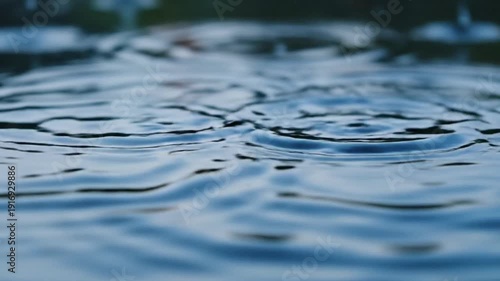 Close-up of Ripples on Water Surface After Raindrops