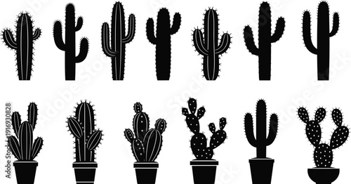 Black vector silhouette set of diverse desert cacti and potted succulents for southwest nature branding arid landscape garden decor and mexican themed environment design