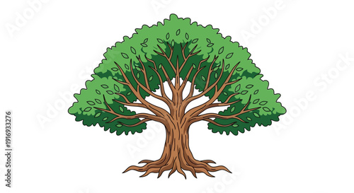 Illustration of a lush green tree with a thick brown trunk
