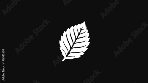 A stark, minimalist depiction of a white leaf with detailed veins against a solid black background