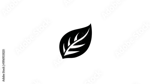 A simple, isolated black leaf with white veins on a plain white background