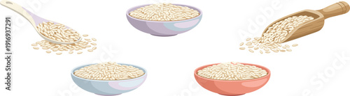 Set of white rice grains in ceramic bowls and wooden scoops including long grain jasmine and basmati rice for healthy cooking and food illustration