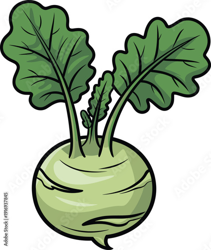 Cartoon illustration of a fresh green kohlrabi vegetable with leaves