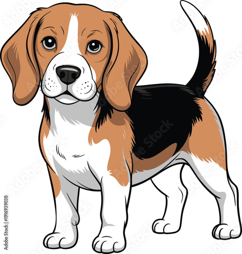 Cute cartoon illustration of a beagle puppy standing, detailed vector drawing of a tricolor dog with floppy ears and a happy expression