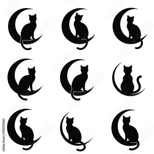 lack Cat with Moon Nigh